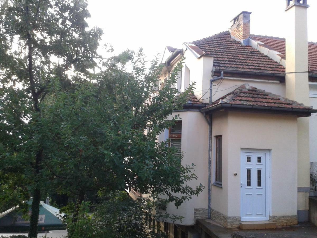 Apartment Domino Bełogradczik Zewnętrze zdjęcie