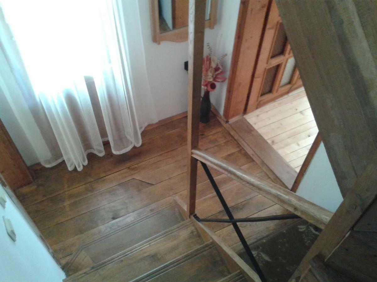 Apartment Domino Bełogradczik Zewnętrze zdjęcie